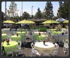 Event Lounge Furniture