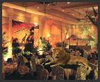 Safari Event Decor